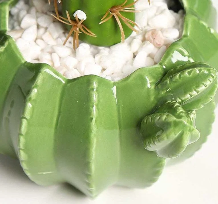 Indoor Green Cactus Pot Planter -