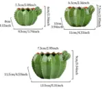 Indoor Green Cactus Pot Planter