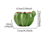Indoor Green Cactus Pot Planter