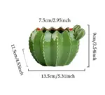 Indoor Green Cactus Pot Planter