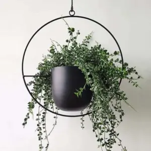Industrial Black Metal Wall Vase - 