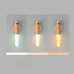 Intelligent_Sensor_Night_Light_-_-_tag1_-4278190 Intelligent Sensor Night Light tag1