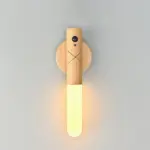 Intelligent_Sensor_Night_Light_-_-_tag1_-4278202 Intelligent Sensor Night Light tag1