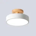 IronDrumFlushmountNordicWhite Green GreyFinishLEDSemiClosetoCeilingLightwithWoodCanopyforCorridor