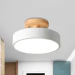 IronDrumFlushmountNordicWhite Green GreyFinishLEDSemiClosetoCeilingLightwithWoodCanopyforCorridor