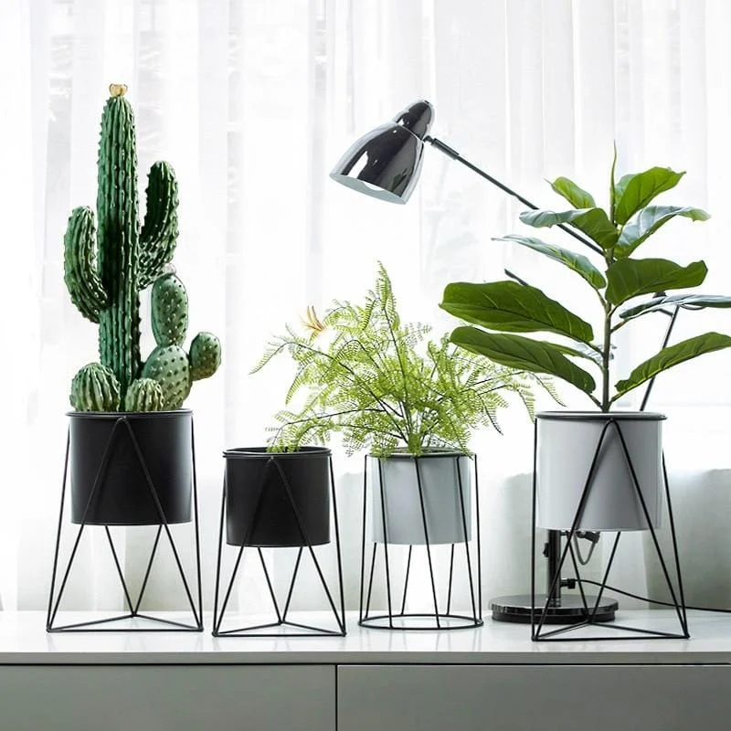 Iron Flower Pot -  - #tag1#