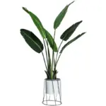 Iron Flower Pot tag1