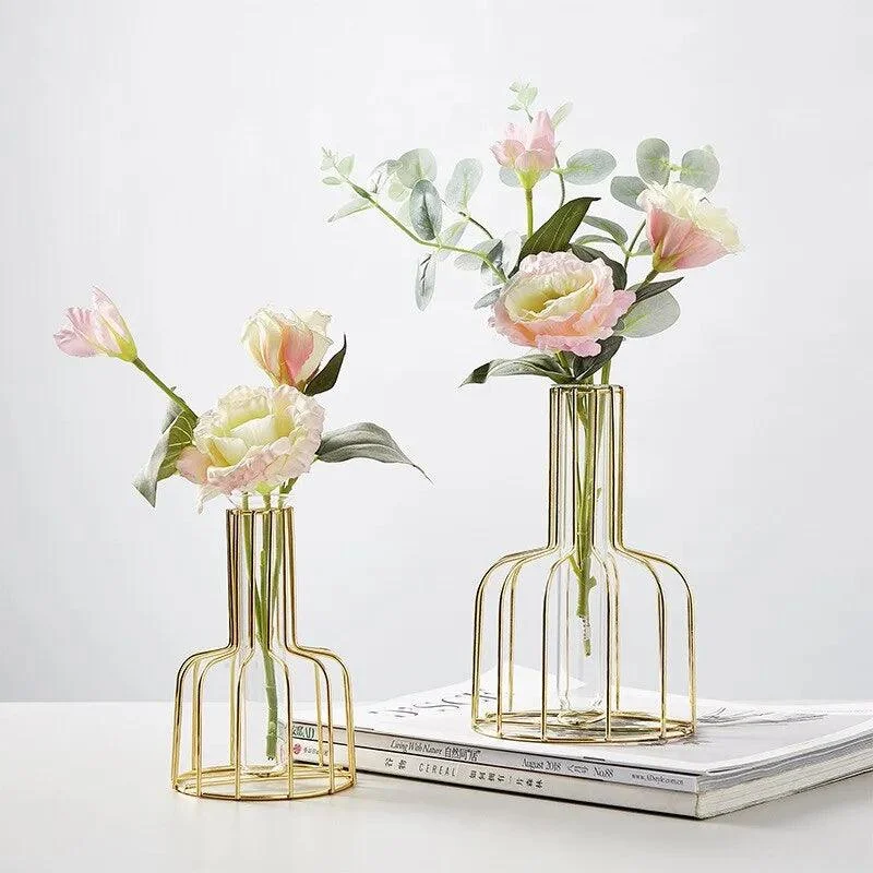 Iron Frame Hydroponic Vases - 