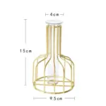 Iron_Frame_Hydroponic_Vases_-_-4302406 Iron Frame Hydroponic Vases