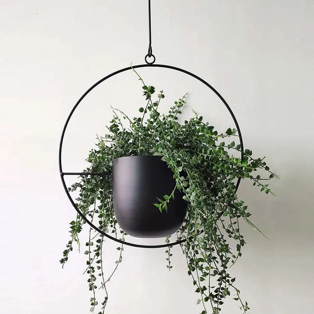Iron Hanging Planters -