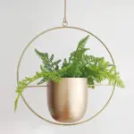Iron_Hanging_Planters_-_-4302511 Iron Hanging Planters