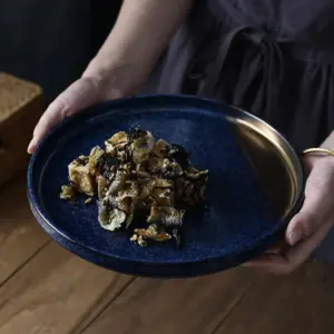 JAPANESE PLATE