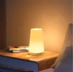 Japandic_Style_-_Halina_Table_Lamp_-_-_tag1_-4280920 Japandic Style Halina Table Lamp tag1