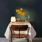Japandic Style Portable Lantern Table Lamp tag1