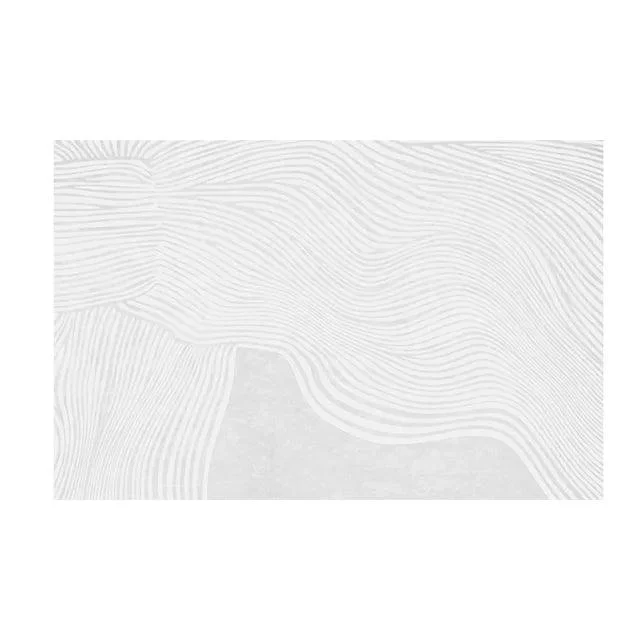 Japanese Minimal Rug Decoration Plush Fluffy Super Soft for Bedroom Non-slip -