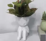 Japanese Spirited Away Resin Kodama Planter Pot for Succulents