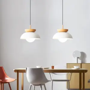 Homeko Creative Iron Ceiling Pendant Light