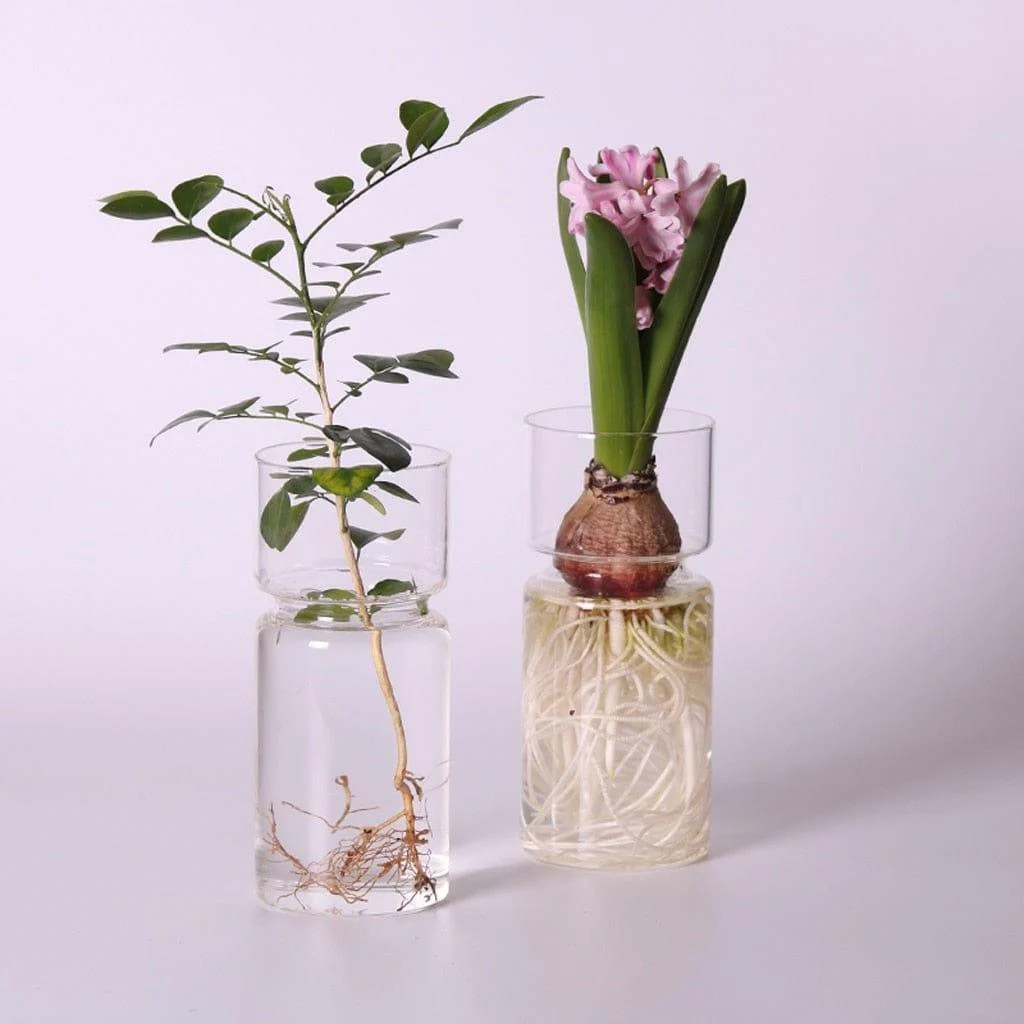 Jency Vase -