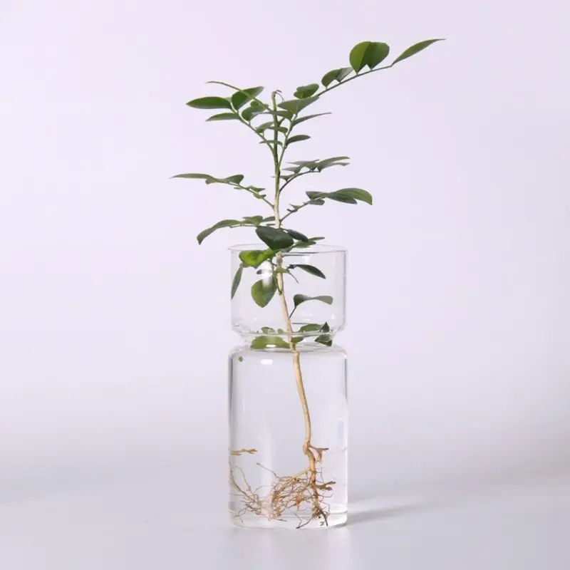 Jency Vase