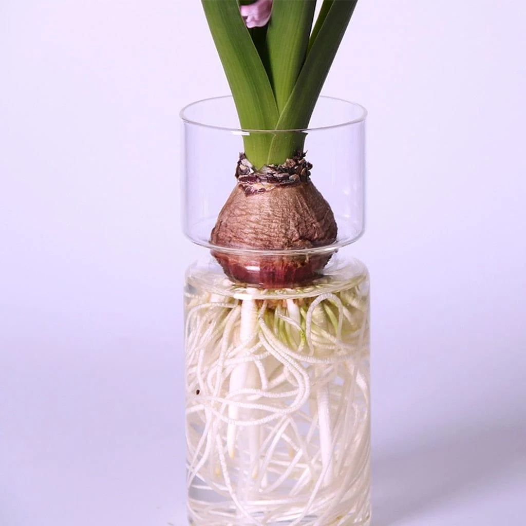 Jency Vase -