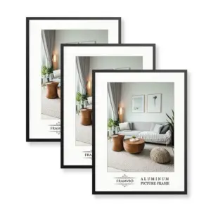 Jettison Frame