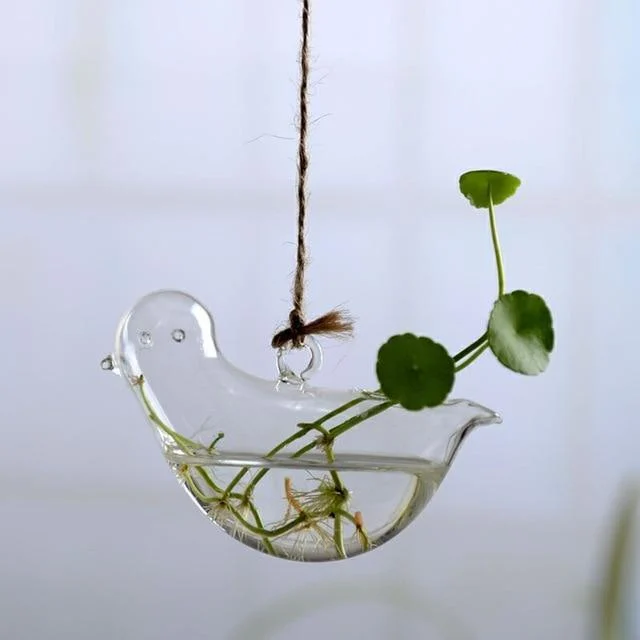 Jing - Hydroponic Hanging Flower Pot - Homeko