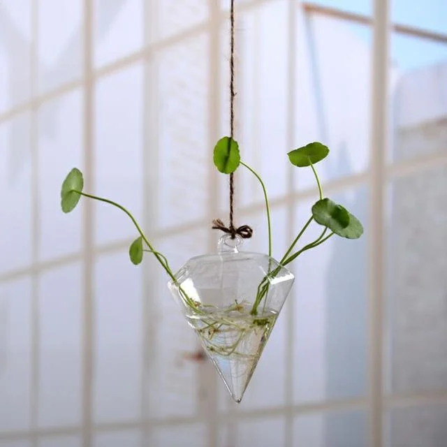 Jing - Hydroponic Hanging Flower Pot - Homeko