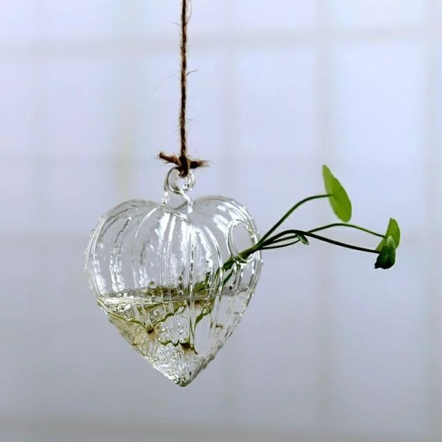 Jing - Hydroponic Hanging Flower Pot - Homeko