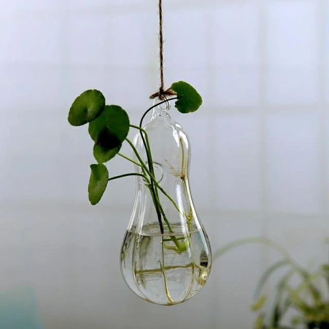 Jing - Hydroponic Hanging Flower Pot - Homeko