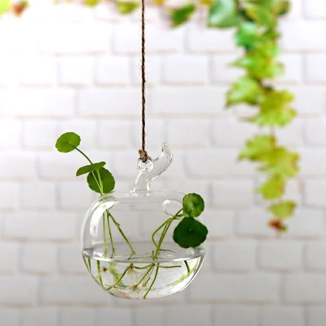 Jing - Hydroponic Hanging Flower Pot - Homeko