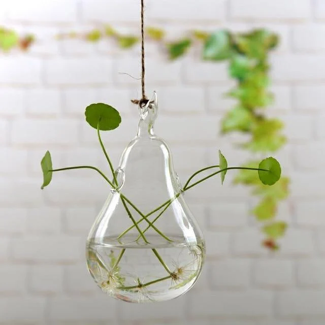 Jing - Hydroponic Hanging Flower Pot - Homeko