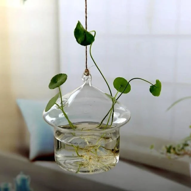 Jing - Hydroponic Hanging Flower Pot - Homeko