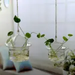 Jing-HydroponicHangingFlowerPot-Homeko4 Jing HydroponicHangingFlowerPot Homeko4
