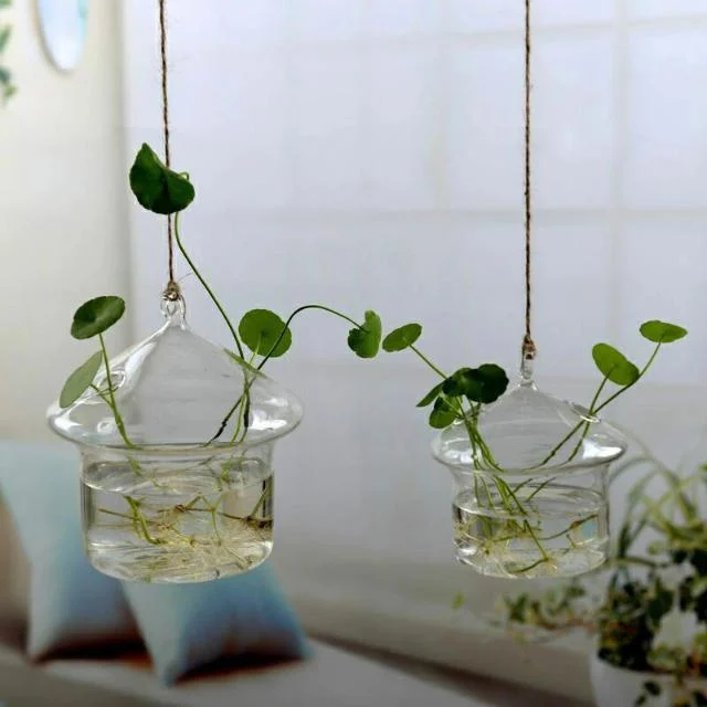 Jing - Hydroponic Hanging Flower Pot - Homeko