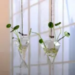 Jing-HydroponicHangingFlowerPot-Homeko5 Jing HydroponicHangingFlowerPot Homeko5