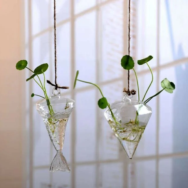 Jing - Hydroponic Hanging Flower Pot - Homeko