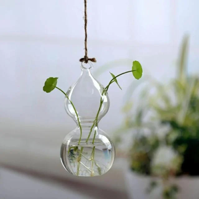 Jing - Hydroponic Hanging Flower Pot - Homeko