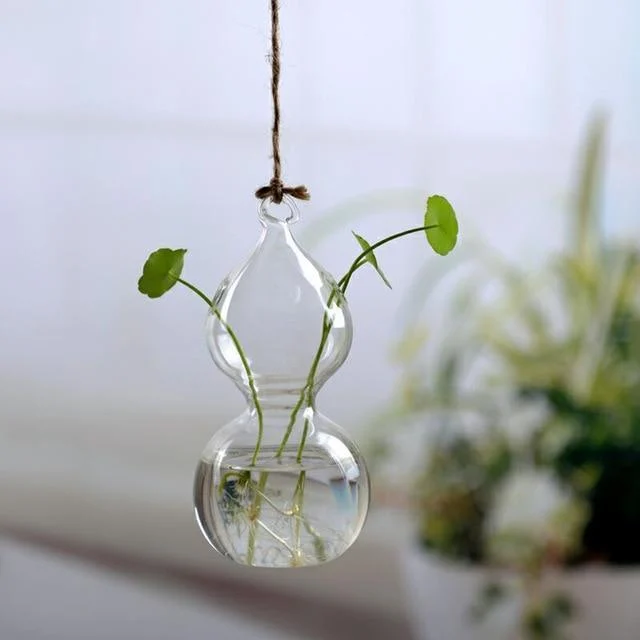 Jing - Hydroponic Hanging Flower Pot - Homeko