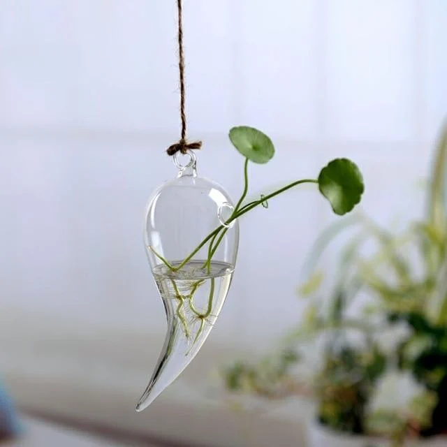 Jing - Hydroponic Hanging Flower Pot - Homeko