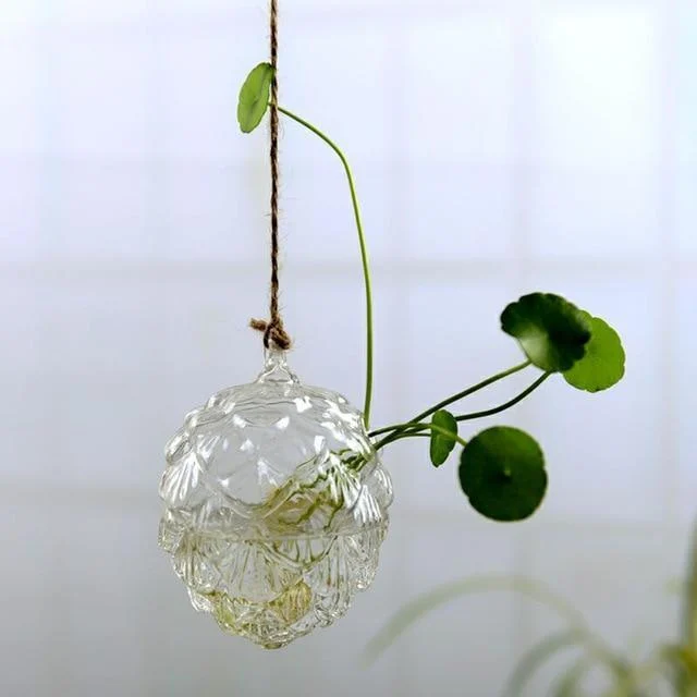 Jing - Hydroponic Hanging Flower Pot - Homeko