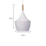 Jule Modern Iron Pendant Light tag1