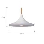 Jule Modern Iron Pendant Light tag1