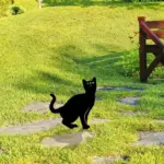 KittyGleam_-_Cat_Garden_Stakes_-_-4312862 KittyGleam Cat Garden Stakes