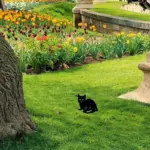 KittyGleam_-_Cat_Garden_Stakes_-_-4312870 KittyGleam Cat Garden Stakes
