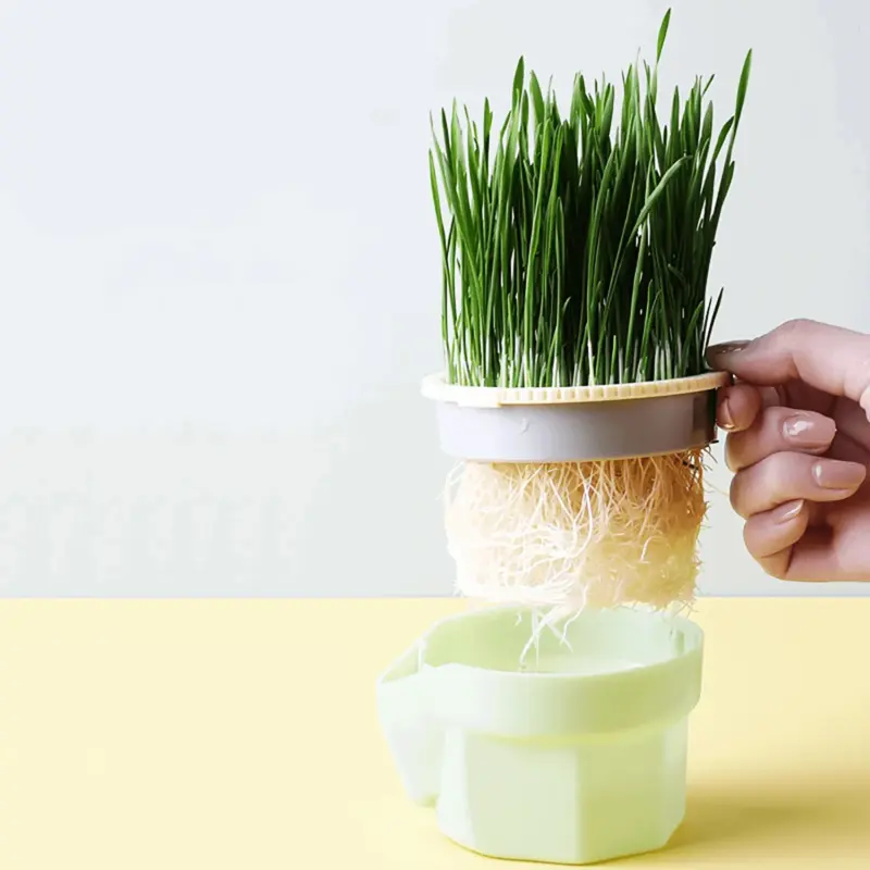 Kitty Grass Cup