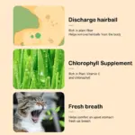 Kitty Grass Cup