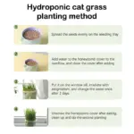 Kitty Grass Cup