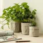 Kraft_Paper_Planter_-_-4313981 Kraft Paper Planter