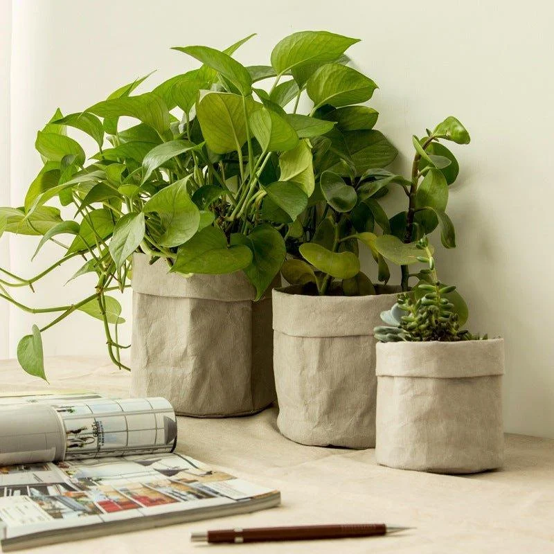 Kraft Paper Planter -