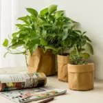 Kraft_Paper_Planter_-_-4313986 Kraft Paper Planter